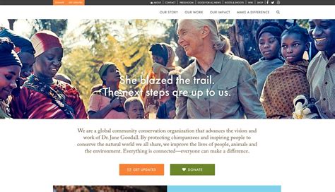 WordPress for Nonprofits: Best Themes, Plugins, and Tools .